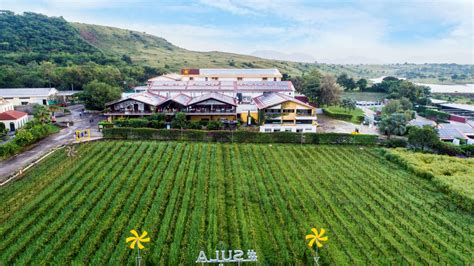 Sula Vineyards .